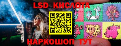 эйфоретик Кингисепп