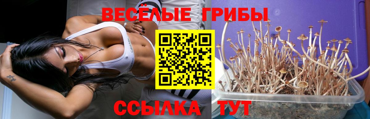 Галлюциногенные грибы GOLDEN TEACHER Бирск